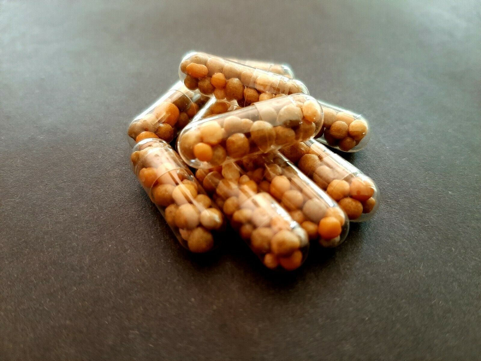 Slow release fertilizer in capsule For 6 months 30 capsule