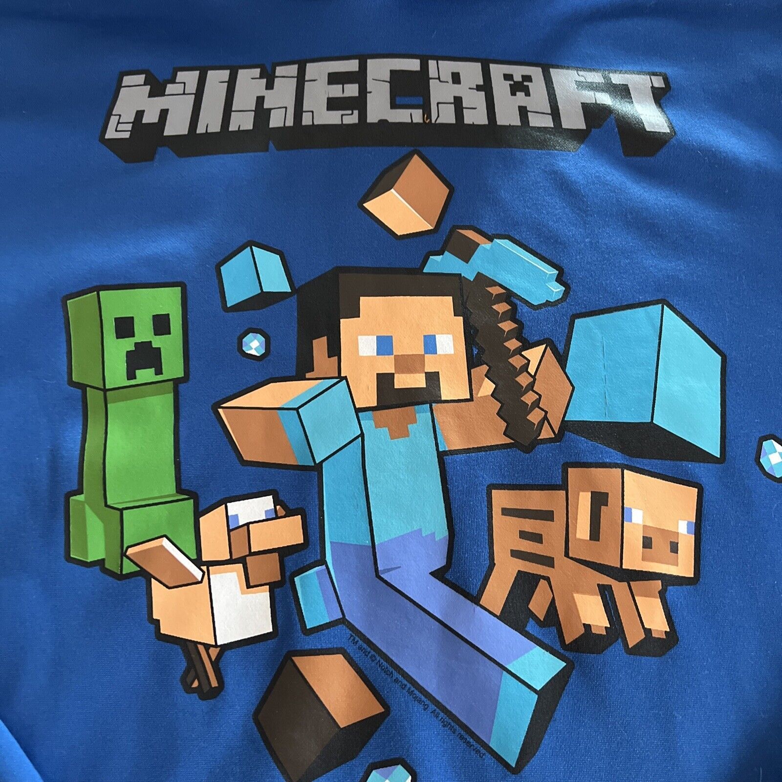 Mojang Jinx Minecraft Boys Blue Creeper Steve Pig Long Sleeve Hoodie ...