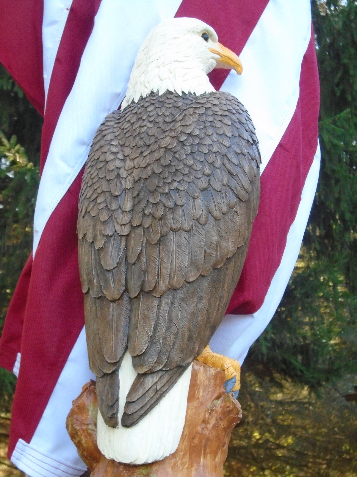 Concrete Statue, Bald Eagle, 21