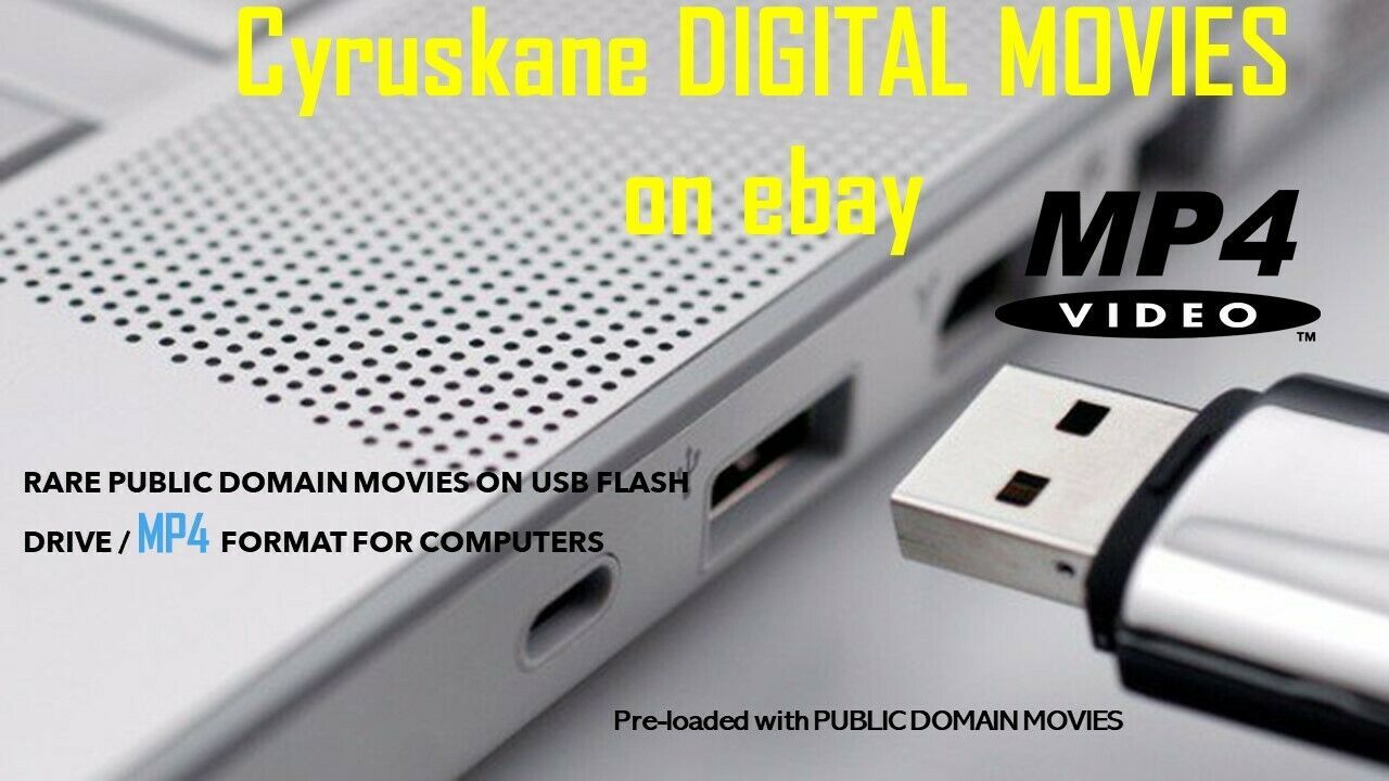 28 MOVIES ON USB FLASH DRIVE / MP4 FORMAT FOR COMPUTERS & SMART TV