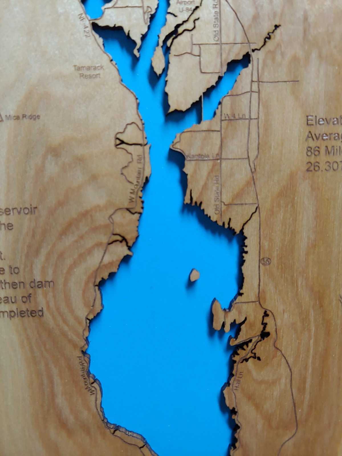 Wood Laser Cut Map of Lake Cascade, Idaho and 50 similar items