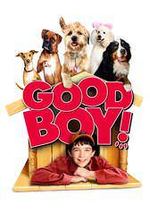Good Boy!⭐Dvd Disc Only No Case⭐Molly Shannon 9104 - $2.50