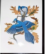 W M Moyers BLUE JAY wild bird illustration vintage color print - $17.99