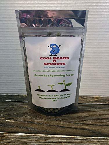 COOL BEANS n SPROUTS Brand, Green Pea Seeds for Sprouting Microgreens,14 ounce