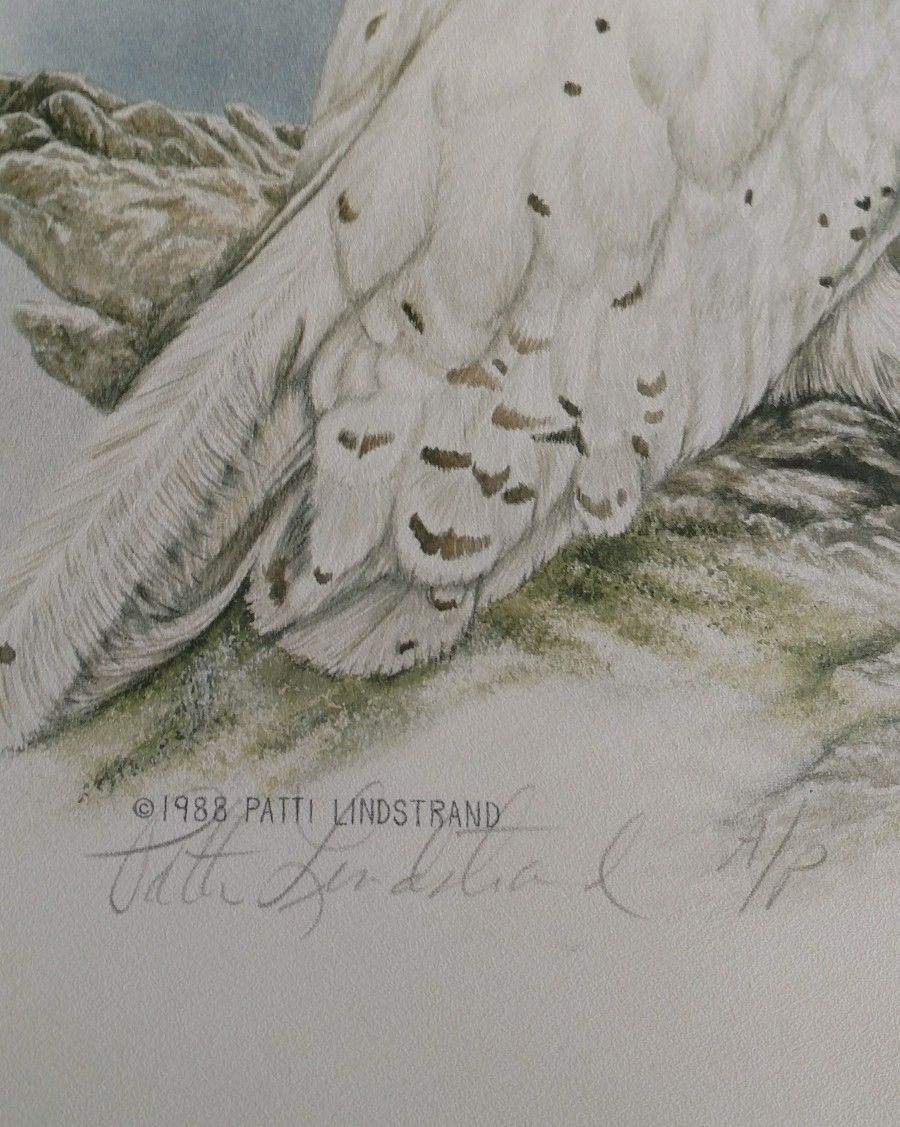 1988 Signed Patti Lindstrand White Snowy Owl Print Alaskan Sketches ...