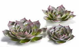 Flower Succulents Wall Plaques 3D Metal Set 3 With Red Tips Garden Fence Floral 