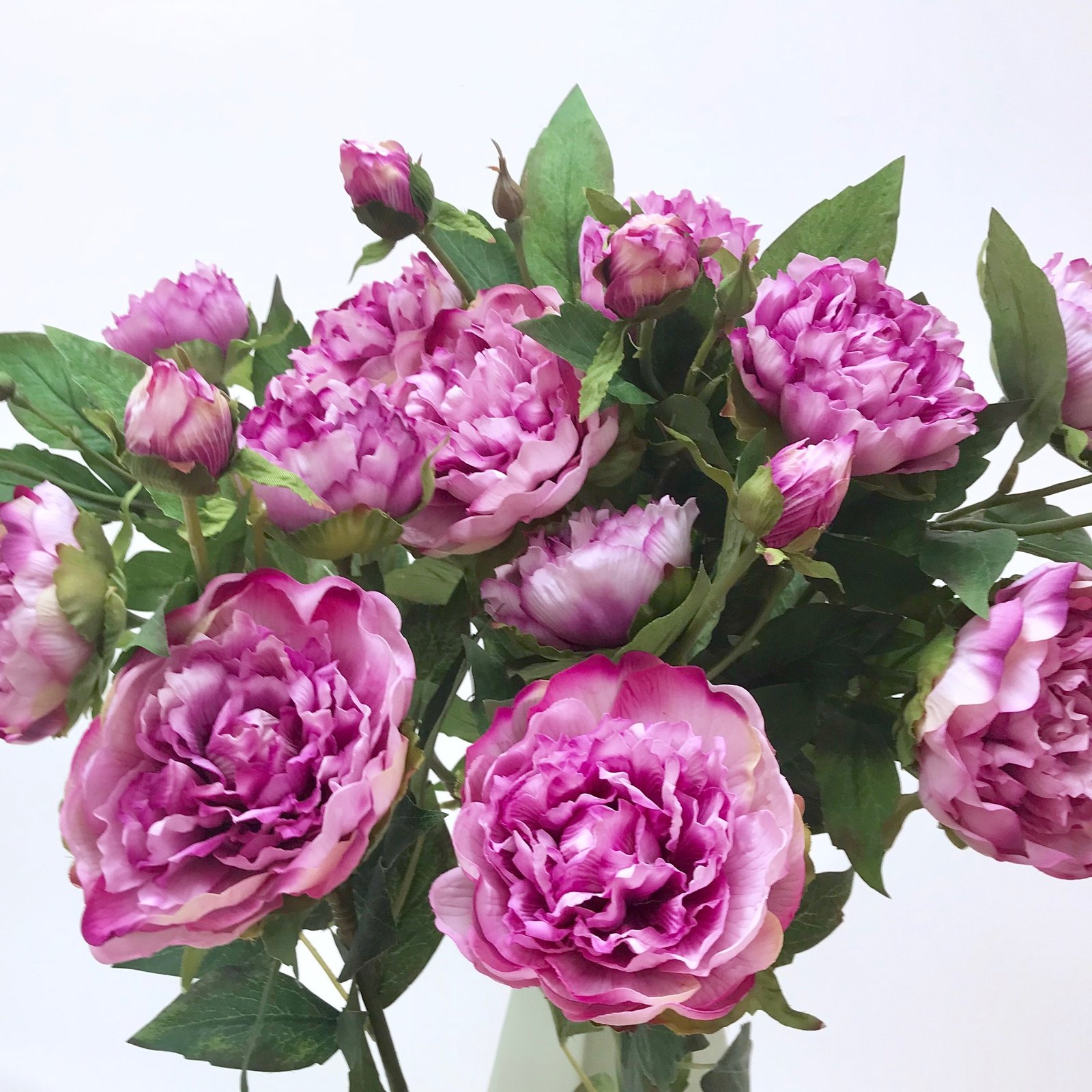 Download Purple Duchesse Peony Single Stem for DIY Floral ...