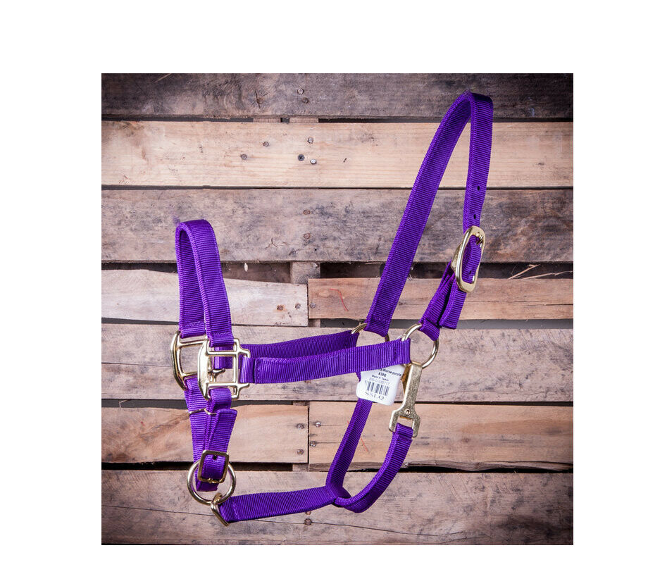 Adjustable Horse Halter with Throat Snap For Horses (600900 lb) Nylon