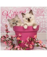 Kittens 16-Month Wall Calendar - $7.99