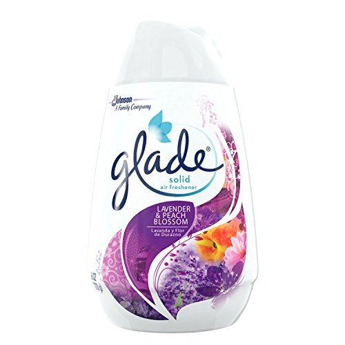 Glade Solid Air Freshener Air Fresheners