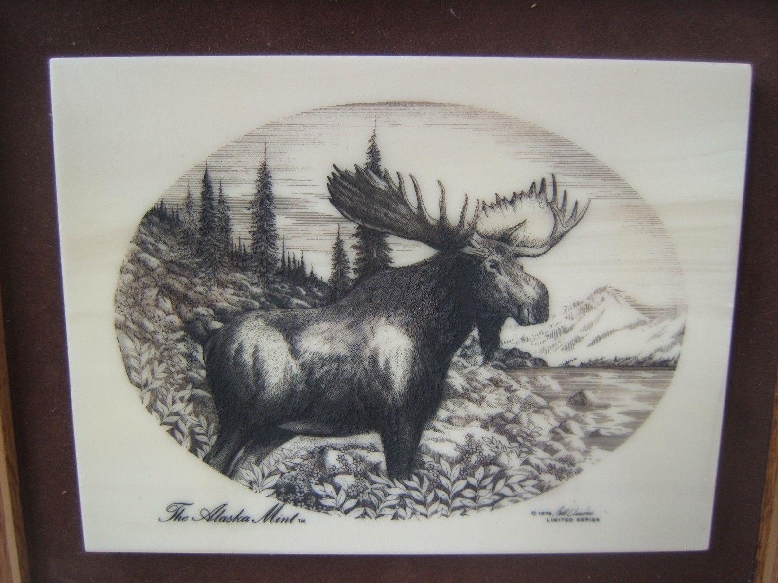 VTG 1979 Bull Moose Alaskan Mint Marble Etching Kiana Bill Devine