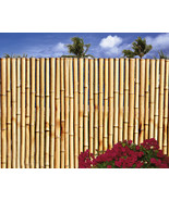 Bamboo Fence- Sold In 8 Foot Sections Choose from 4 Heights-Natural Color - $110.00+