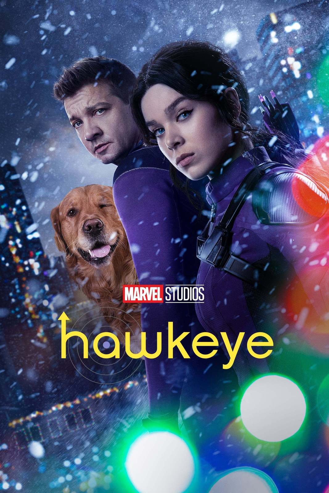 Hawkeye Poster Jeremy Renner Marvel Comics TV Show Art Print 24x36 27x40 #14