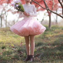Blush Pink A-line Knee Length Tulle Skirt High Waisted Blush Puffy Holiday Skirt image 4