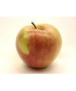 Kauffman Orchards Fresh-Picked Jonagold Apples - $32.50 - $95.00