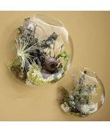 2 Wall Bubble Terrariums Wall Hanging Glass Vase Planter for Air Plant S... - $22.99