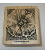 Morning Glory Rubber Stamp Flower Stampin&#39; Up! Wood Mounted Retired 2.25... - $6.78