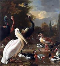 A pelican and other birds.Melchior de Hondecoeter.Office design wall dec... - $13.86+