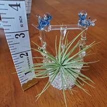 Live Air Plant in Hand Spun Wishing Well Holder, Blue Birds, Airplant Planter image 7