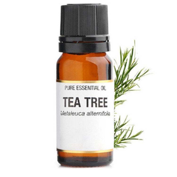 Tea tree essential oils 10ml bottle aromatherapy oil for diffuser