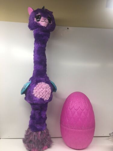 a hatchable