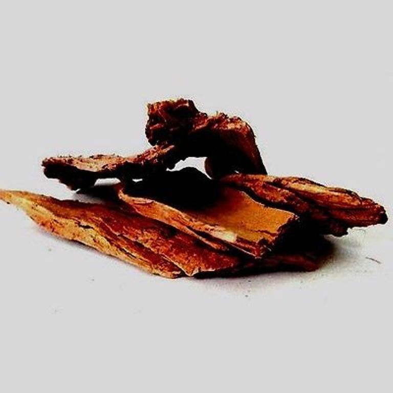 ASHOKA BARK Saraca Indica Herb Ayurveda Whole SHIP FREE World Herbs