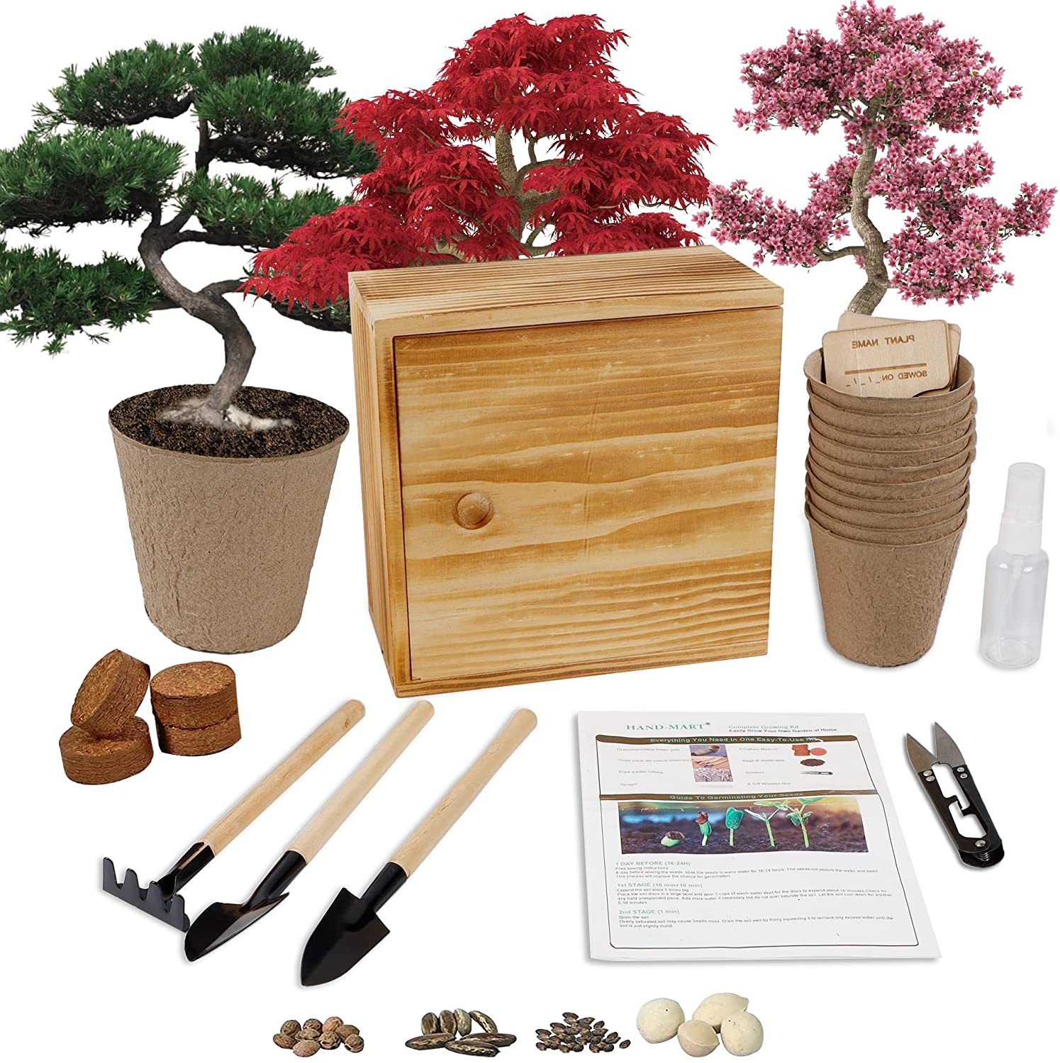 Bonsai Tree Kit, 4 Bonsai Tree Seeds with Complete Growing Kit & Wooden Planter