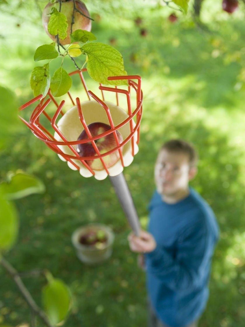 Ohuhu Fruit Picker Picking Basket Fresh Orange Apple Pear Peach w/ 13ft