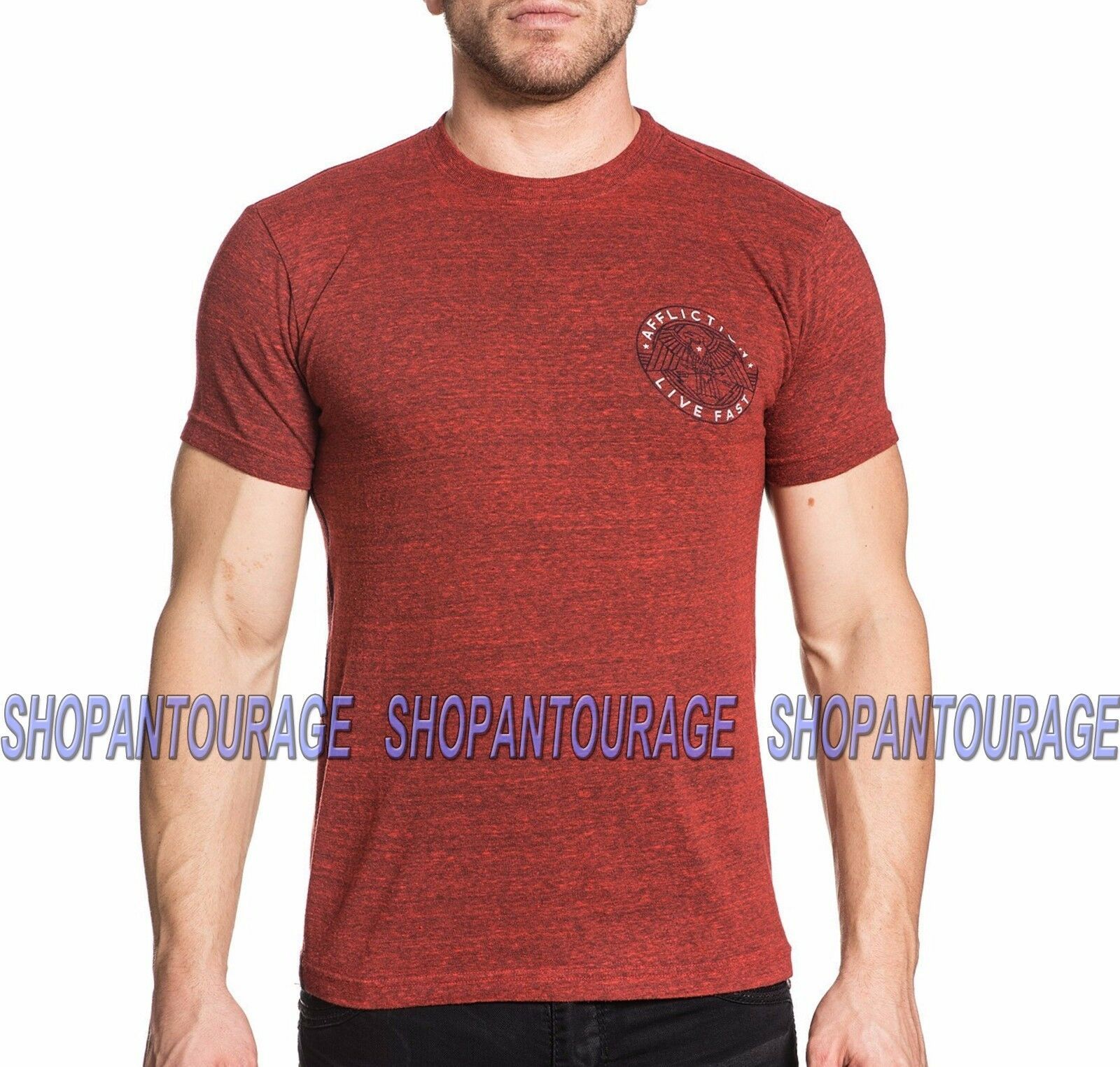 Affliction Wings of Flames Short Sleeve Graphic V-Neck T-Shirt for Men