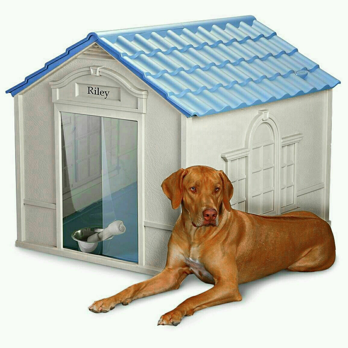 x-large-dog-house-deluxe-all-weather-outdoor-extra-durable-pet-shelter-big-dogs-dog-houses