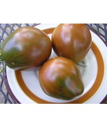 Bedouin tomato seeds - $4.25