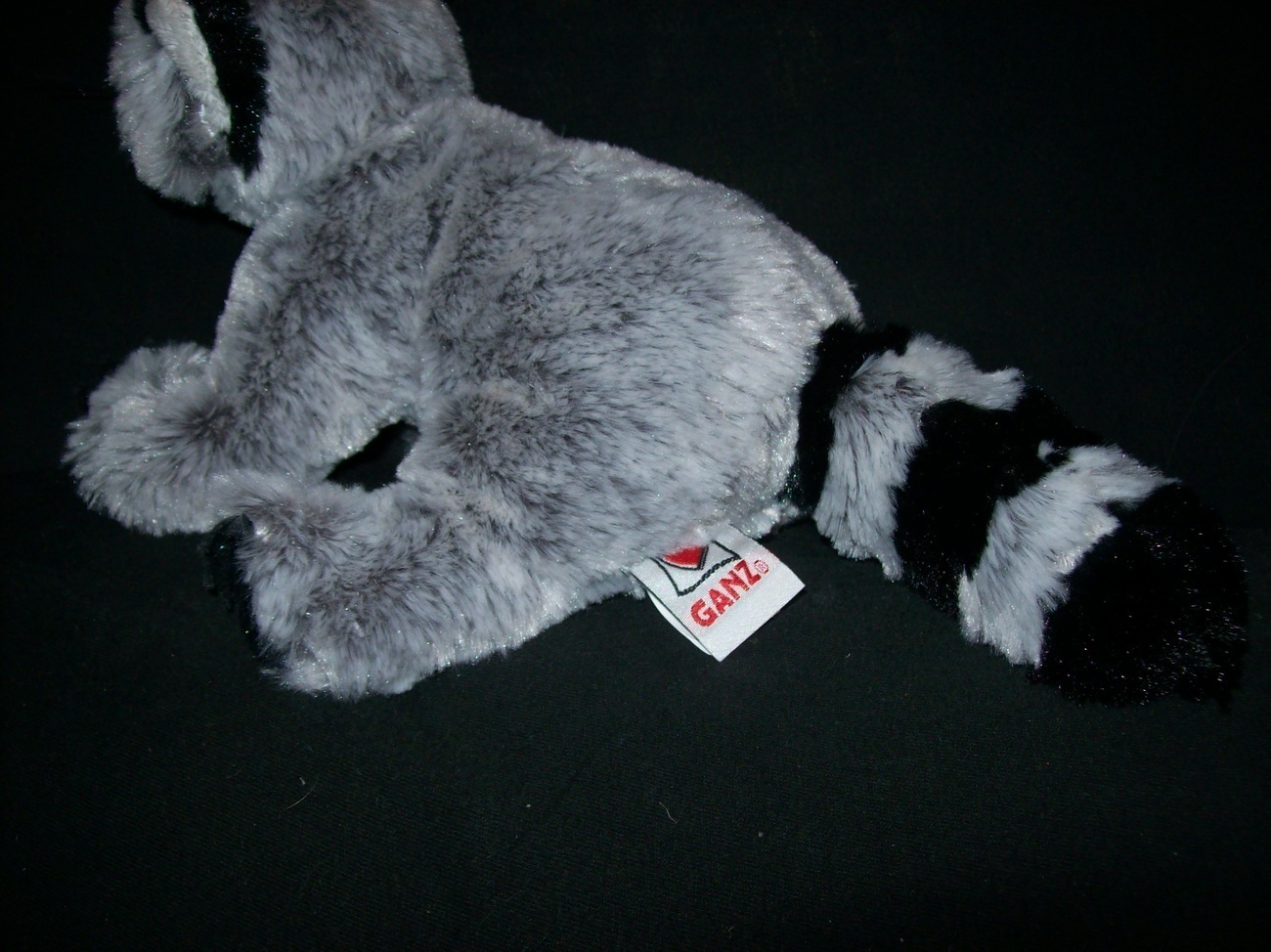 webkinz raccoon