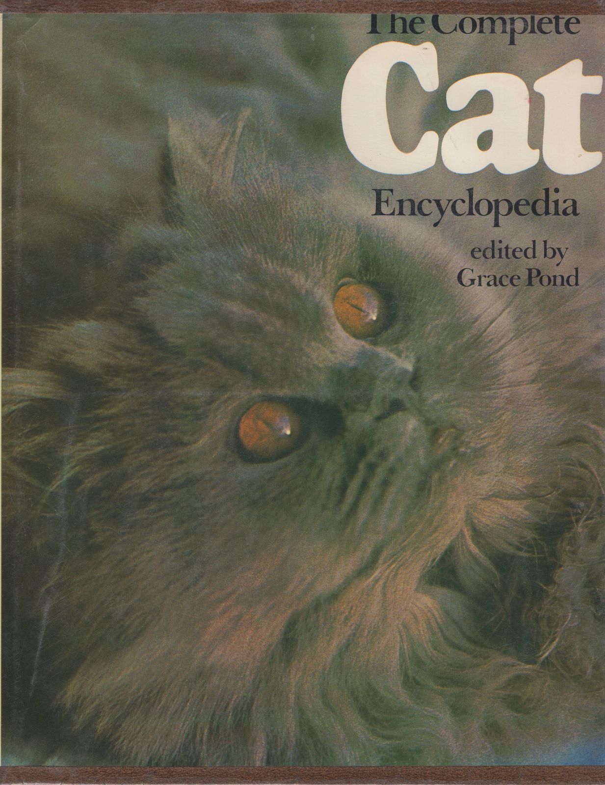 The Complete Cat Encyclopedia Crown - Textbooks, Education