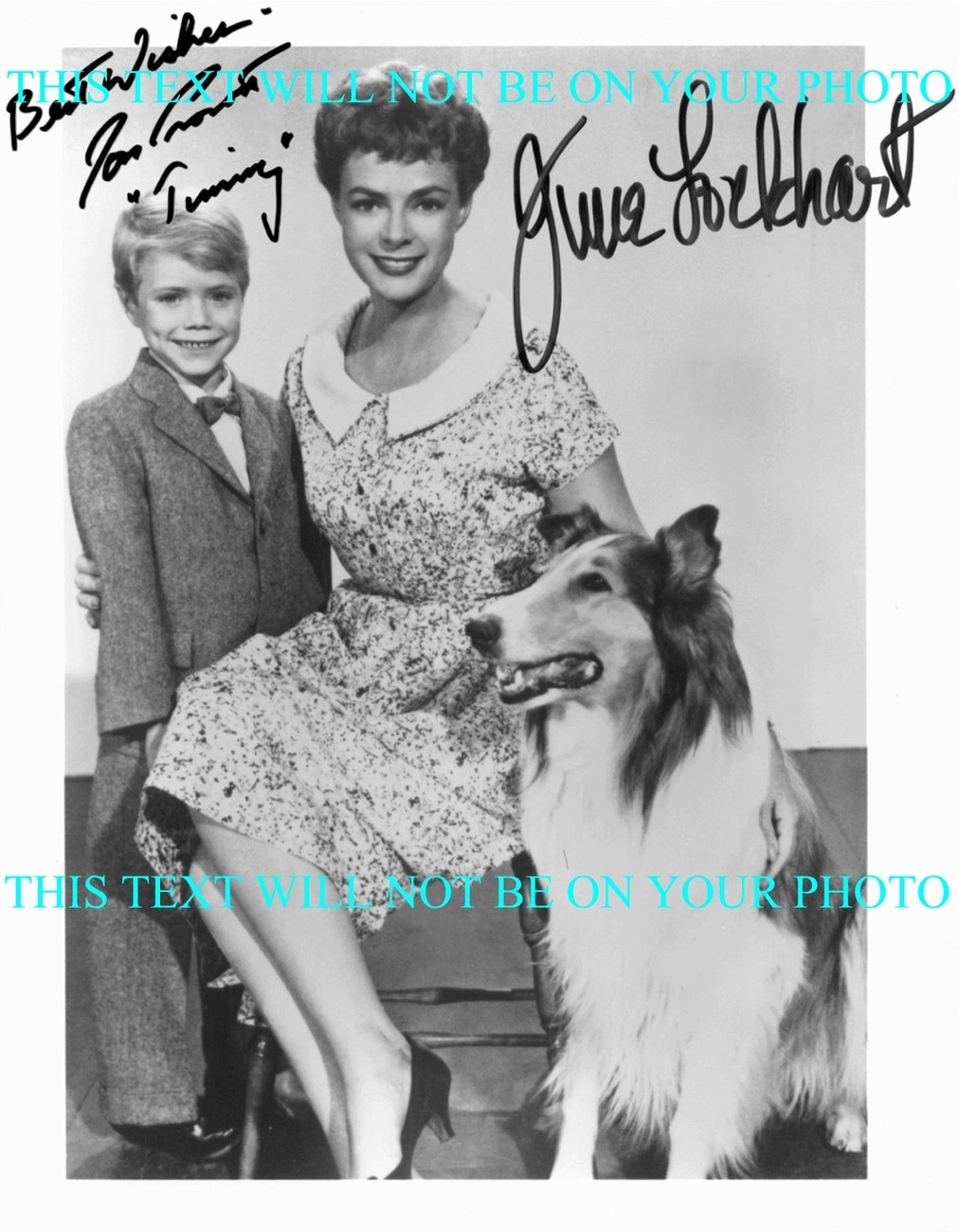 Lassie Cast Signed Autographed 8x10 Rp Photo Jon Provost And June Lockhart Television 