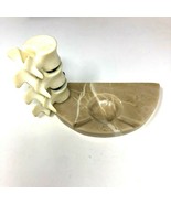 Vintage Marble Vertebrate Spine Backbone Ashtray Chiropractor Doctor - $23.74