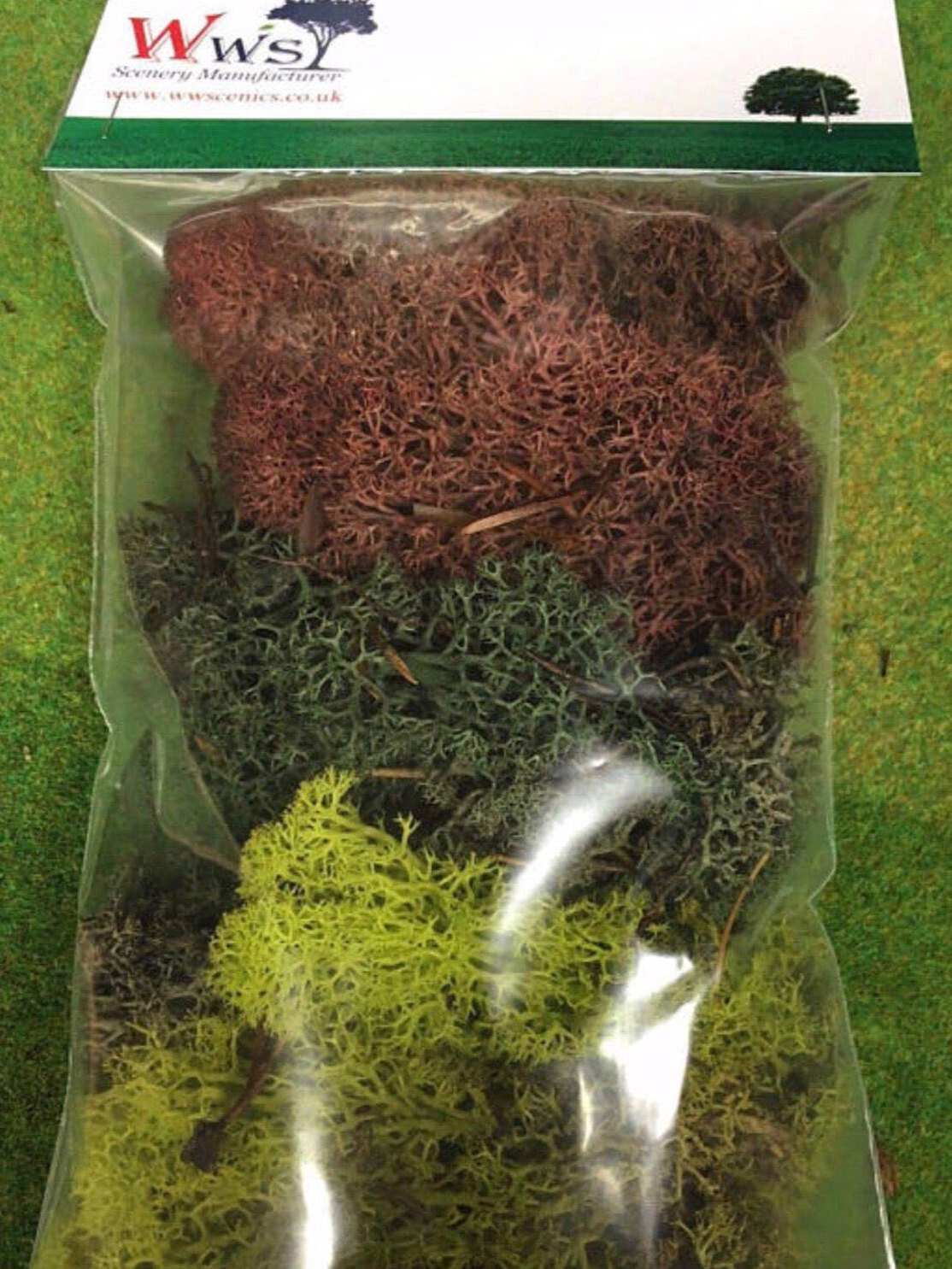 WWS Lichen / Model Moss Various colours