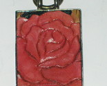 Pictures 028 thumb155 crop