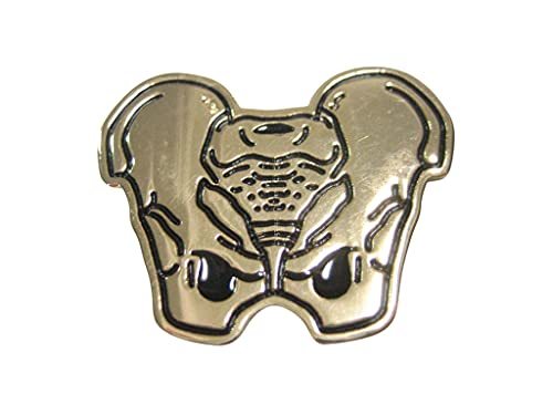 Gold Toned Anatomical Pelvis Magnet Equipment 5073