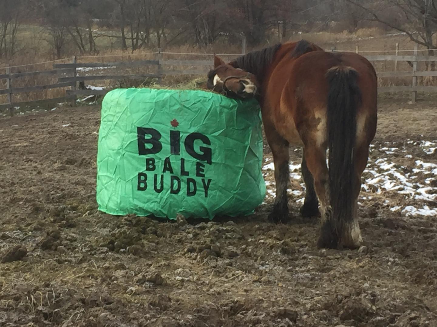 Large BIG BALE BUDDY Large Round Bale Feeder Hay Bag 1 YEAR WARRANTY