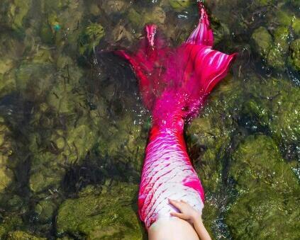 Pink Fairy Swimmable Mermaid Tail with Monofin for Adult Kids, Mermaid Costumes