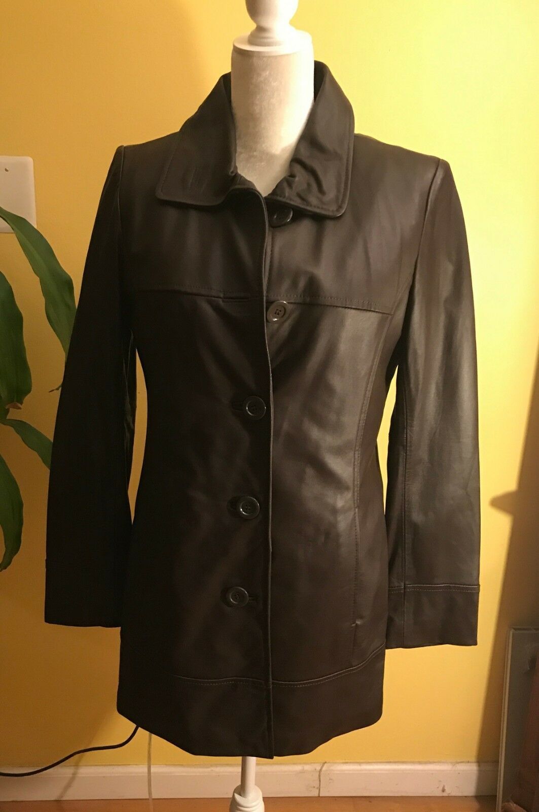 Women's Brown Pelle Studio Leather Coat, Size Medium, Faux Fur ...