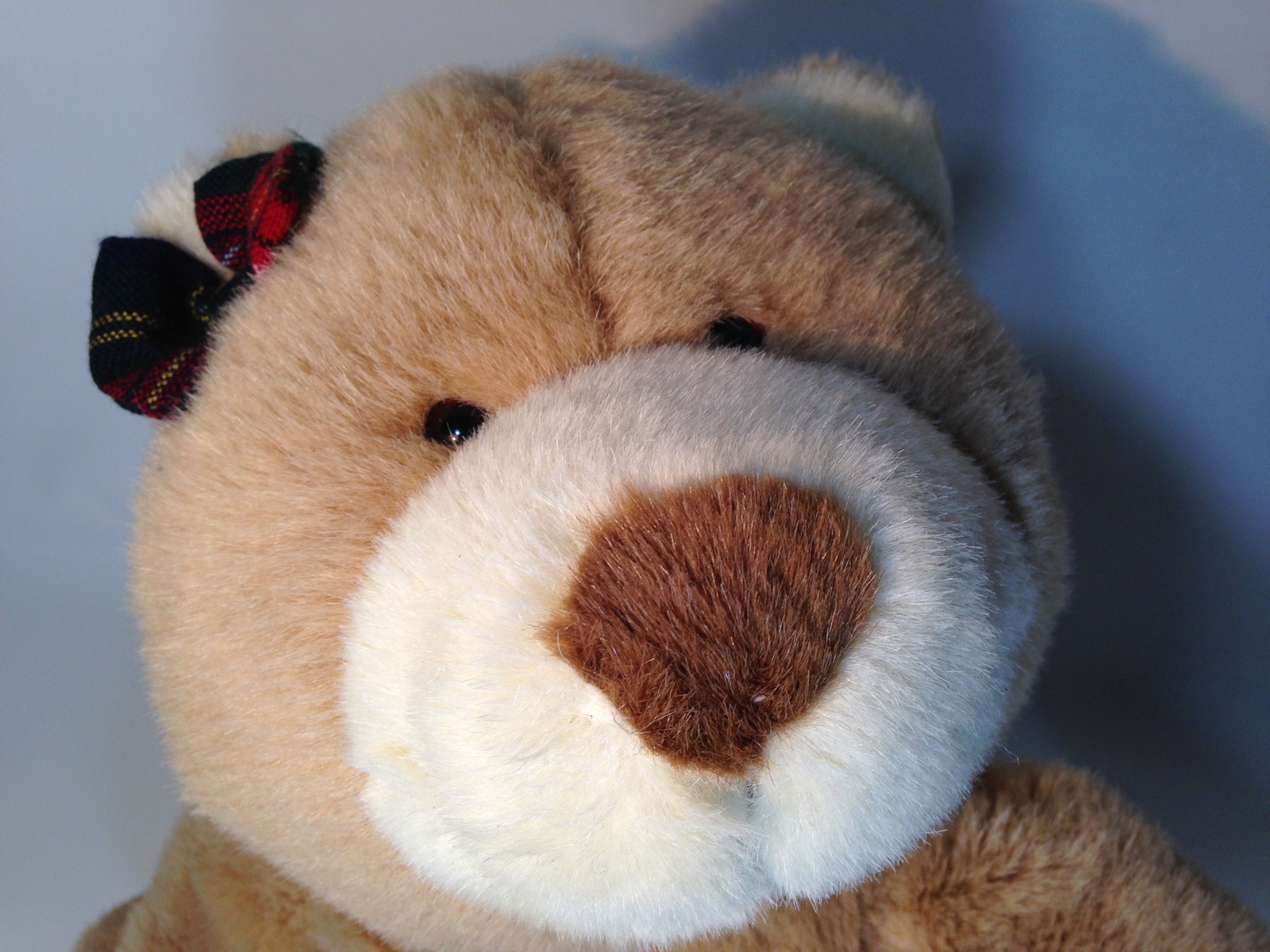 pdf teddy bear pattern