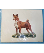 Basenji Hound  Dog Lithograph Art Print Picture by Ole Larsen 1950&#39;s - $34.95