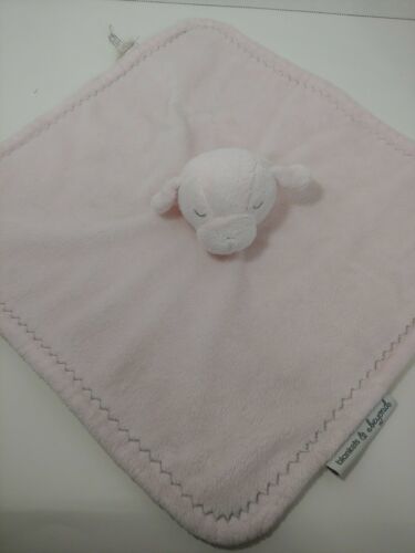 blankets and beyond pink lamb