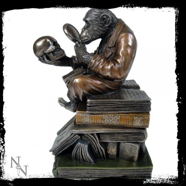 Thinking Ape with Skull Sculpture Darwin Monkey Evolution Bronze Statue Figurine Other