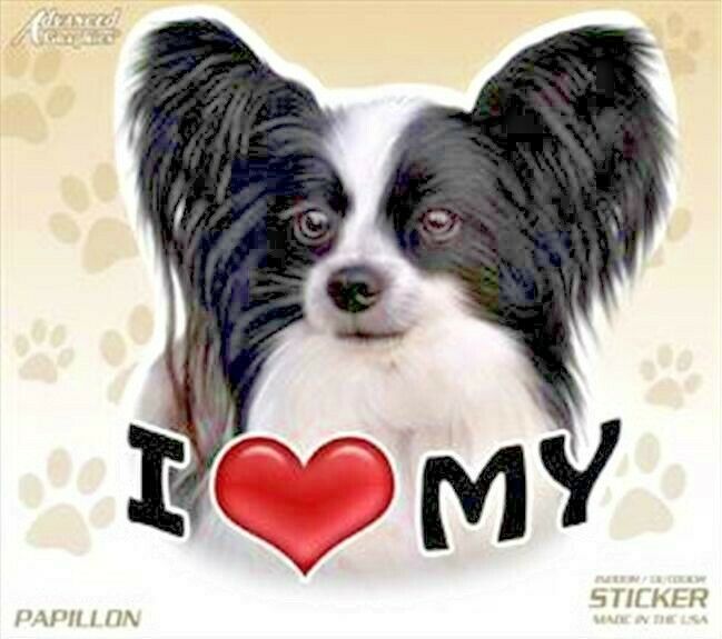 I Love My Papillon Dog 4 Decal Sticker for Vehicle Windows or Home
