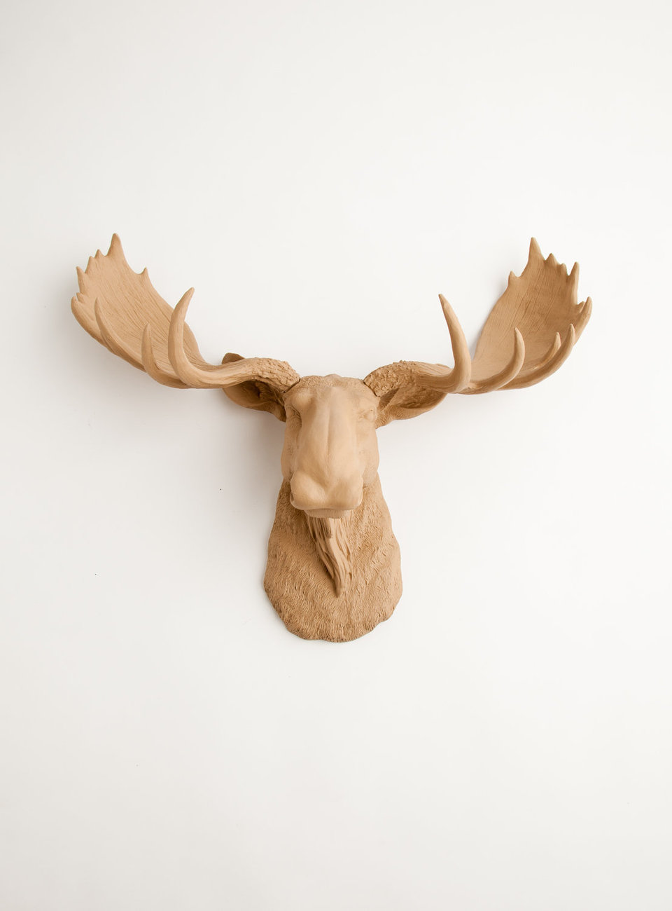 the agatha tan resin moose head white faux taxidermy the agatha tan resin moose head white faux taxidermy
