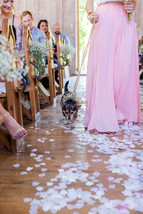 Plus Size Blush Pink Chiffon Skirt Wedding Chiffon Skirt Outfit Floor Length image 12