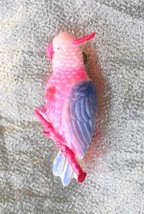 Elegant Cellulose Acetate Plastic Parrot Bird Brooch 1950s vintage 1 3/4&quot; - $12.30