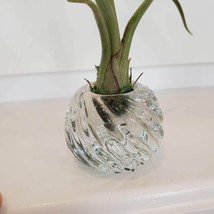 Air Plant in Crystal Holder, Upcycled Candle Holder, Glass Airplant Holder Pot image 7